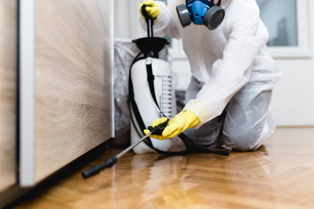 Best Wasp Removal Services  in Lakewood, IL