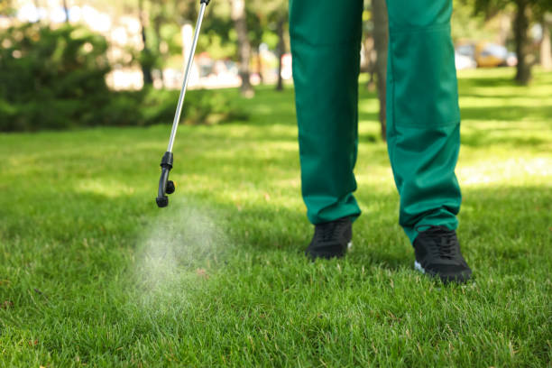 Best Exterminator Services  in Lakewood, IL