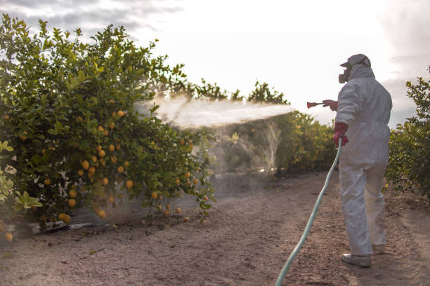Best Mosquito Control Services  in Lakewood, IL