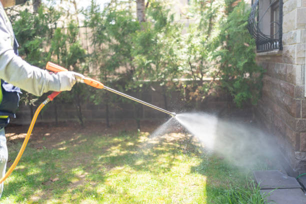 Best Best Pest Control Companies  in Lakewood, IL