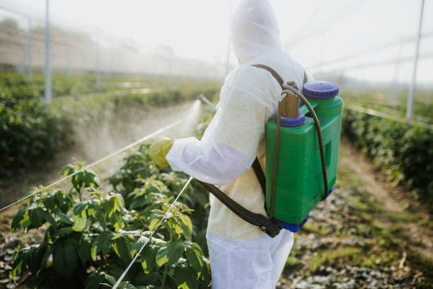 Best Emergency Pest Control  in Lakewood, IL